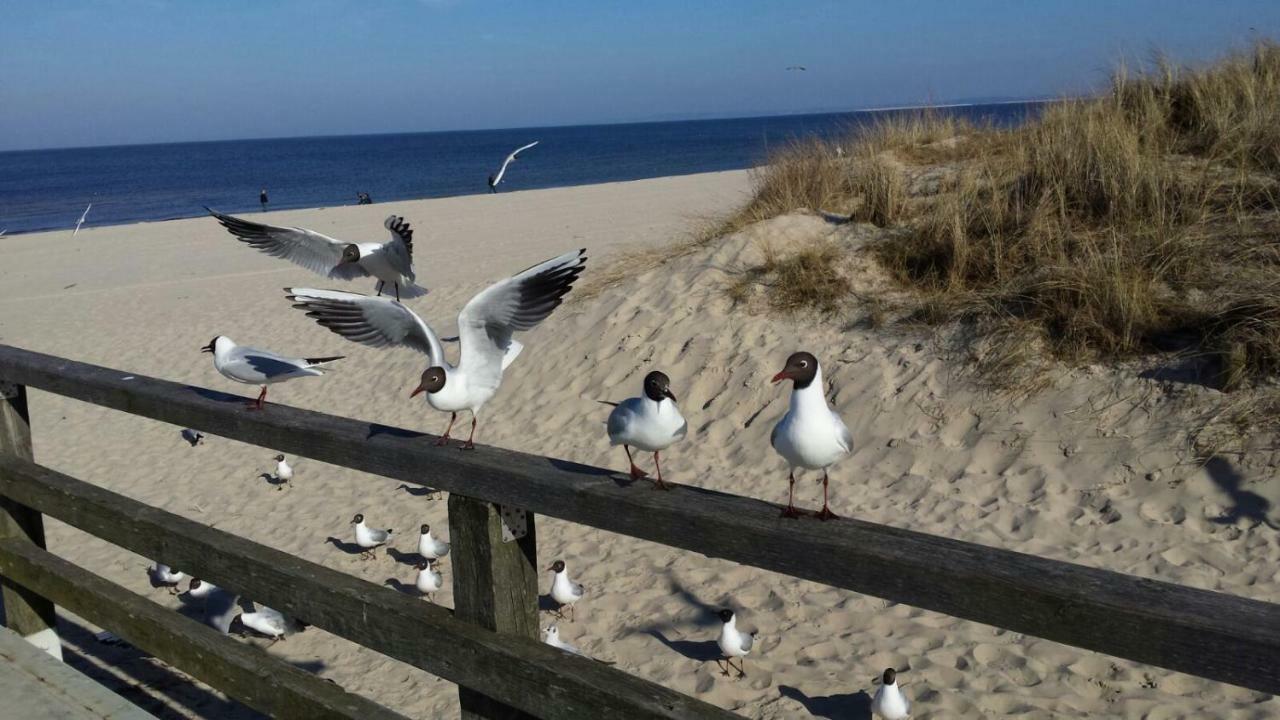 Apartment Beach Świnoujście  Eksteriør billede